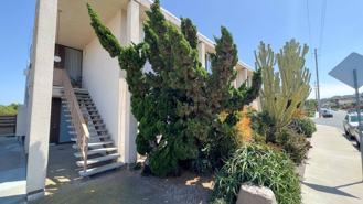 MPL Evergreen - Photo 1 of 1