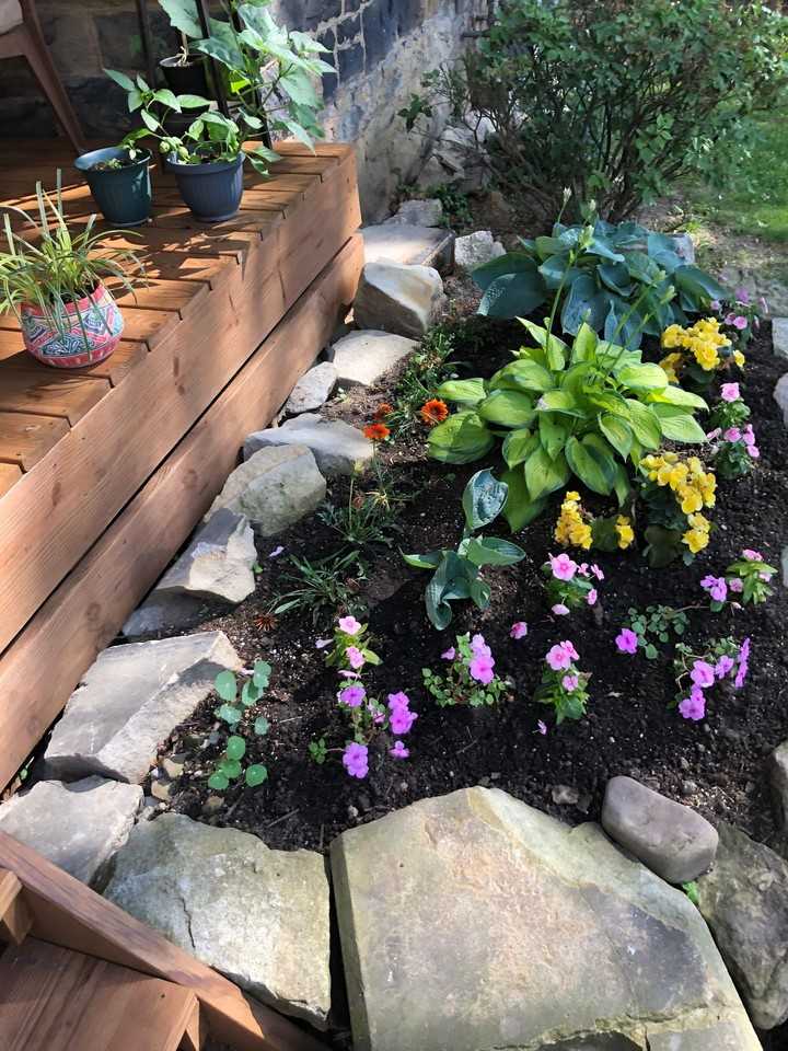 43 Fremont - Photo 5 of 10