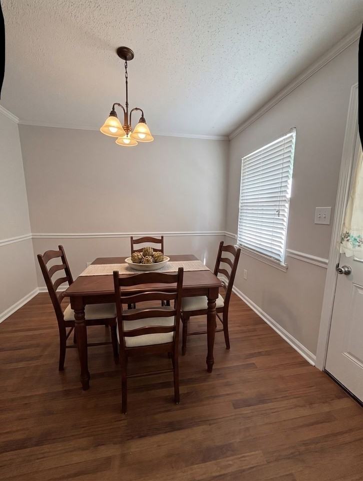 4743 Champion Ct - Photo 3 of 17