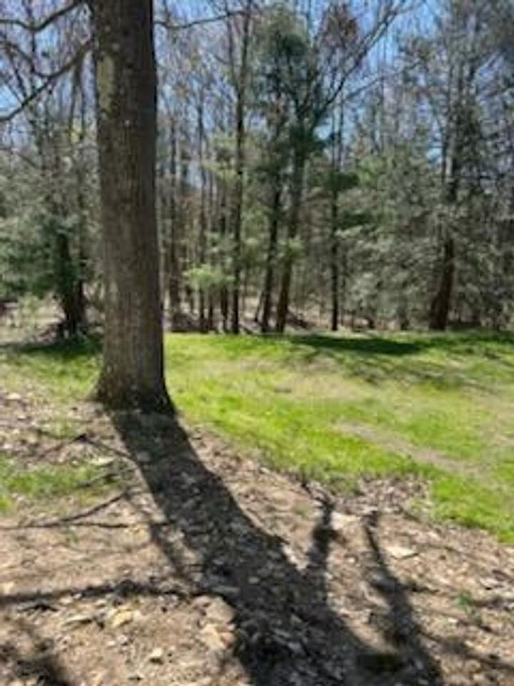 67 Pine Air Ct - Photo 6 of 6