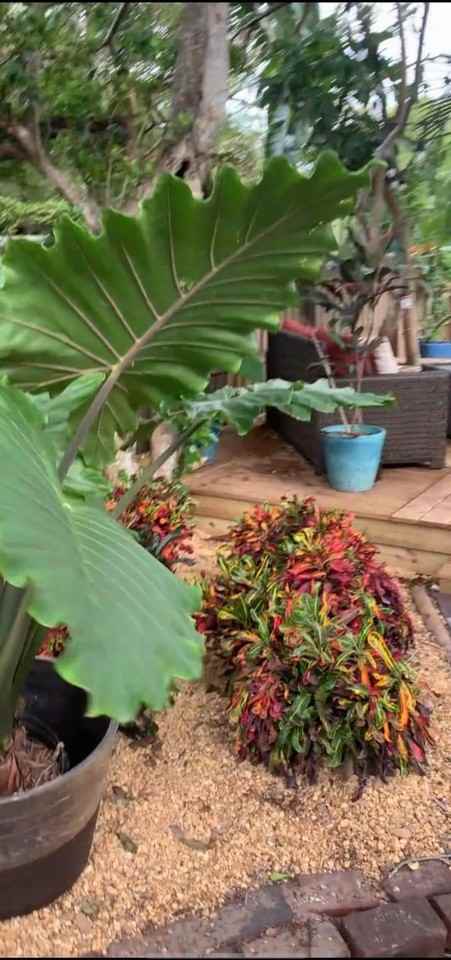 6429 Gulfport Blvd S #NA - Photo 2 of 20