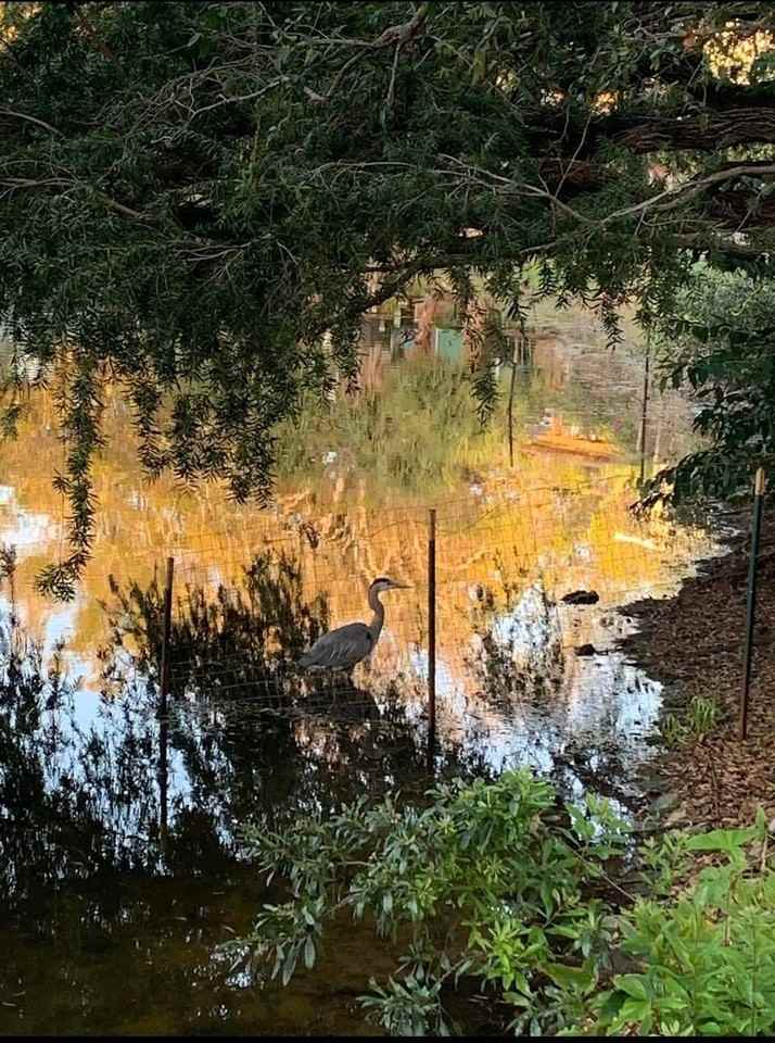 6429 Gulfport Blvd S #NA - Photo 4 of 20