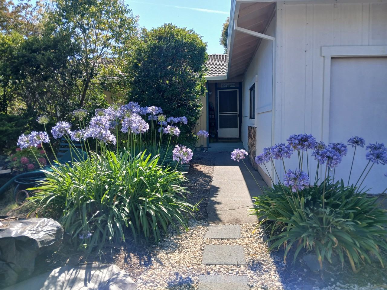 6187 San Mateo Ct #NA - Photo 6 of 22