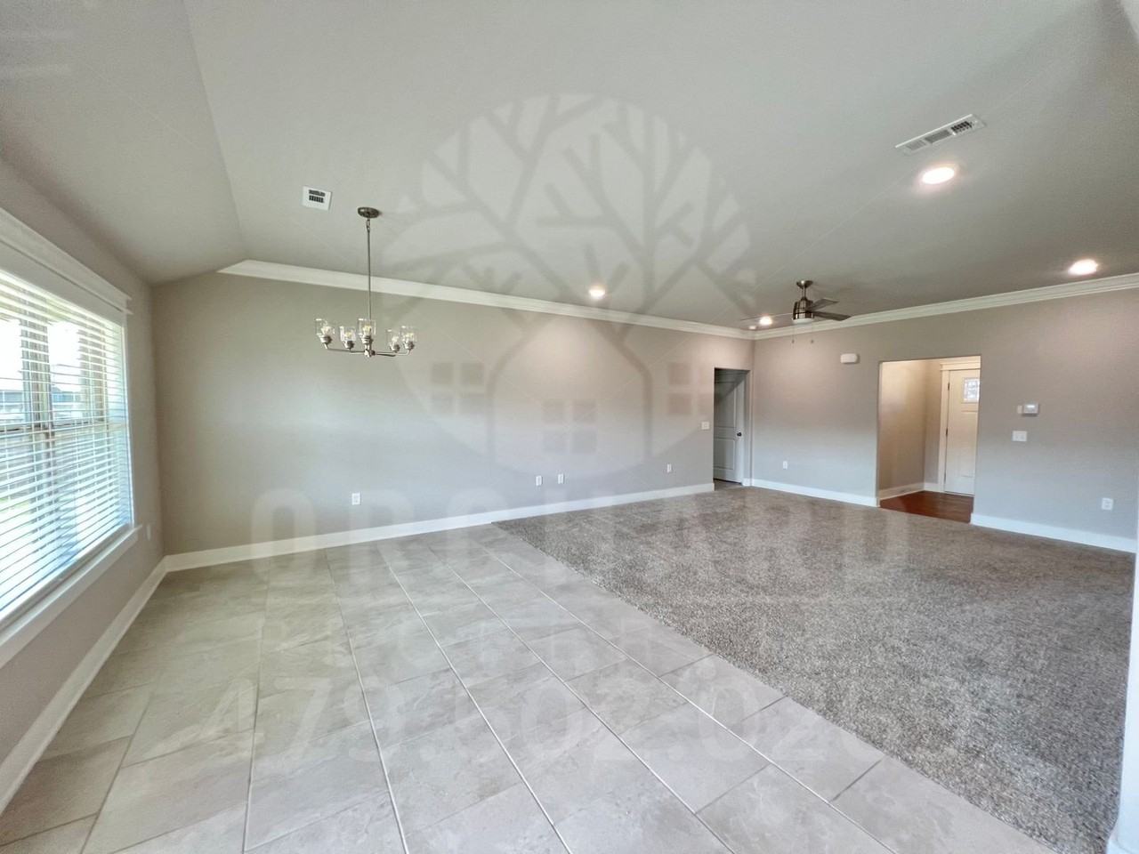 905 Jameson St - Photo 4 of 21