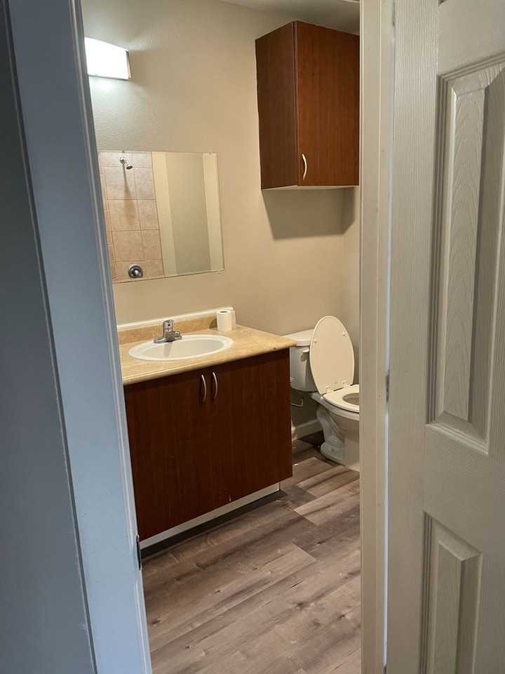 Oak Tree Apartments - Photo 7 of 50