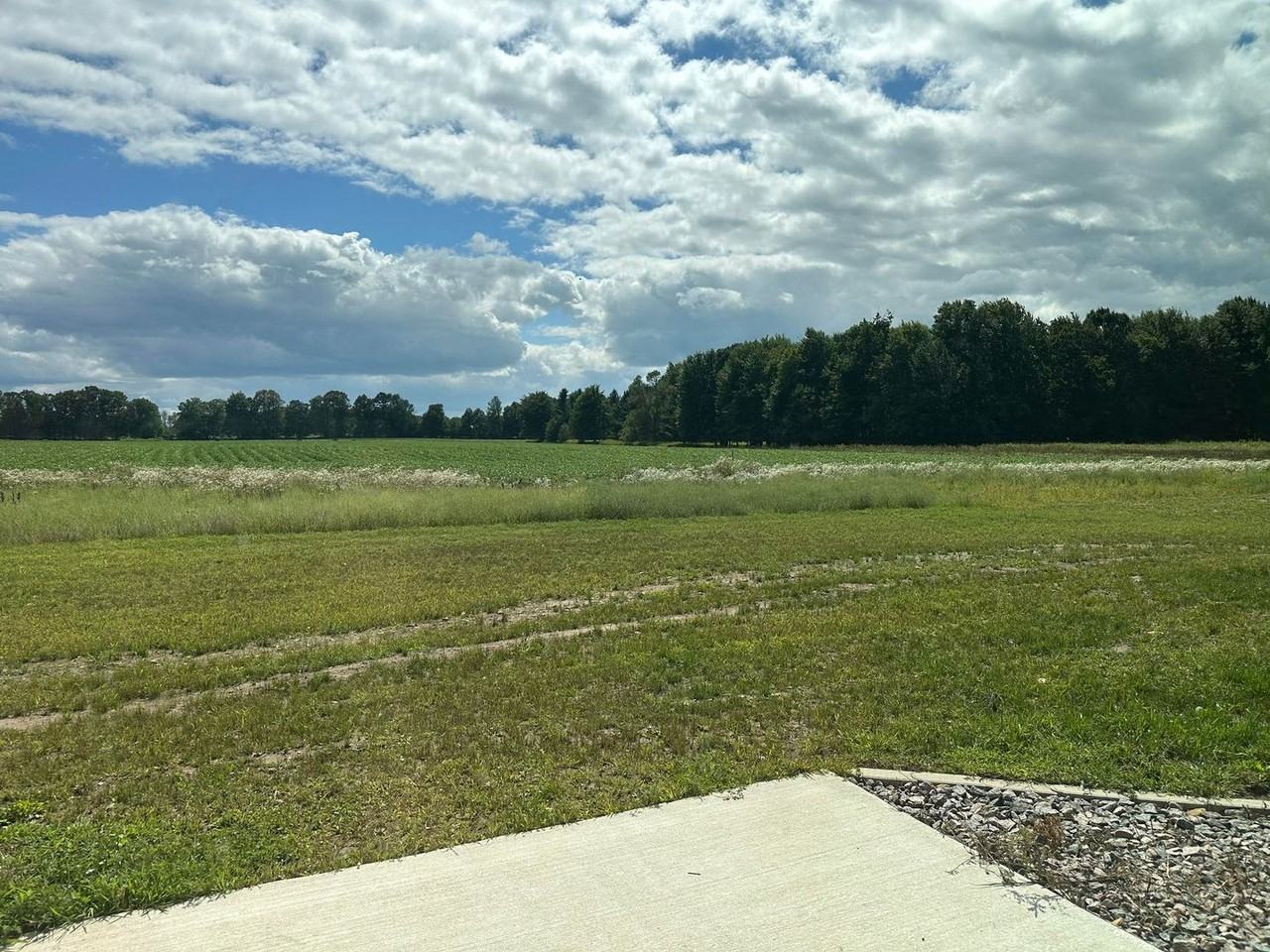 4945 Well Rd - Photo 7 of 9