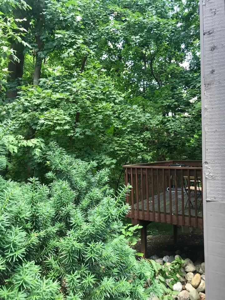 106 Tulip Tree Ct - Photo 2 of 17