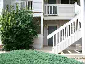 1225 W Prospect Rd #P3 - Photo 1 of 1