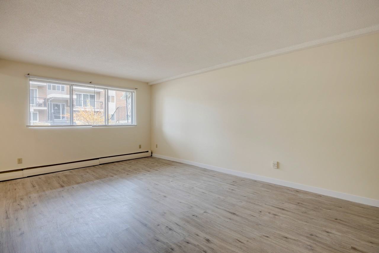 Elmwood II - Photo 6 of 29