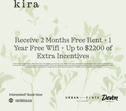 kira - Photo 2 of 24