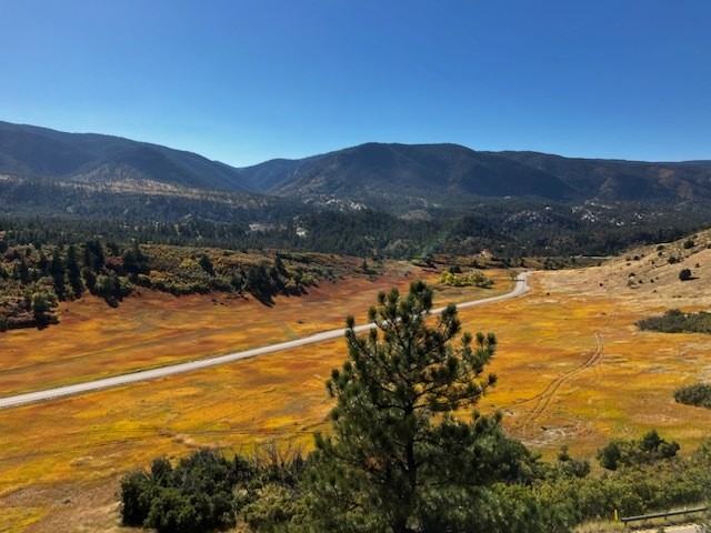 4555 Sentinel Rock #1 - Photo 2 of 50
