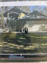 31 Wild Cat Ln #NA - Photo 1 of 1