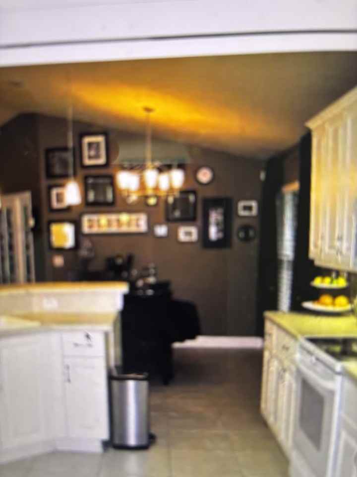 31 Wild Cat Ln #NA - Photo 4 of 20