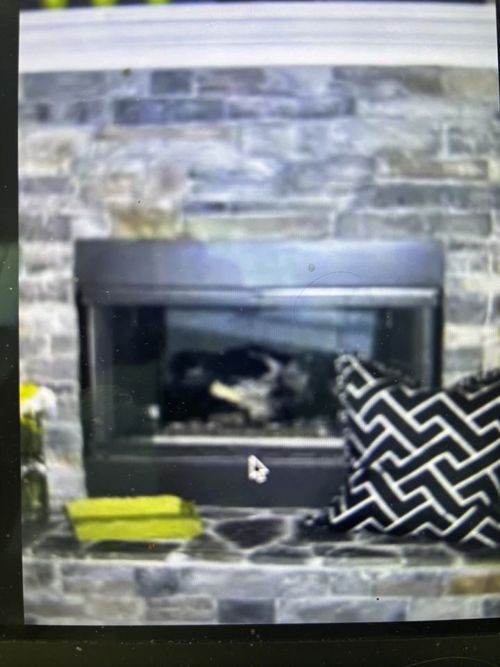 31 Wild Cat Ln #NA - Photo 6 of 20