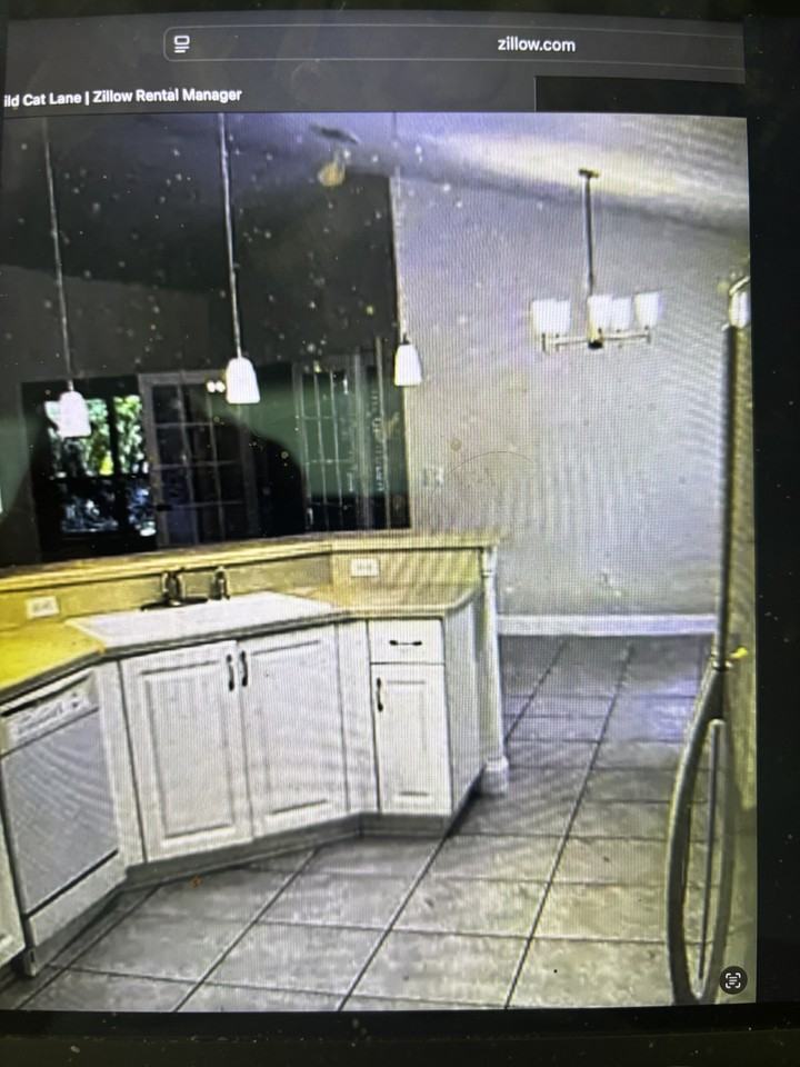 31 Wild Cat Ln #NA - Photo 7 of 20