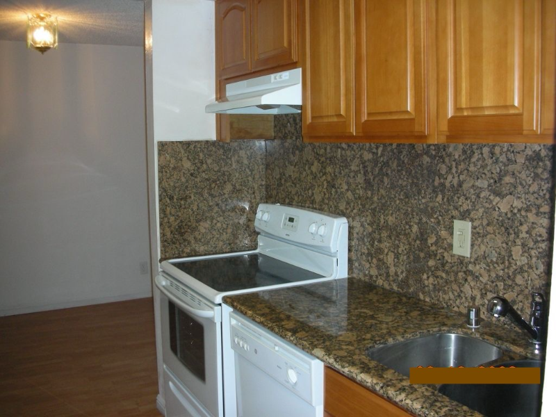 39910 Fremont Blvd - Photo 3 of 12