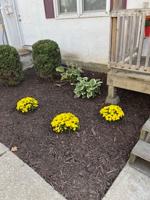 featured image of 231 5th Ave