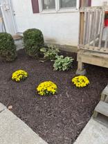 231 5th Ave - Photo 1 of 1