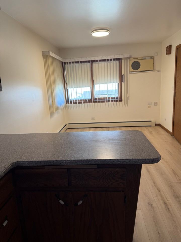 6614 W Devon Ave #1 - Photo 3 of 12