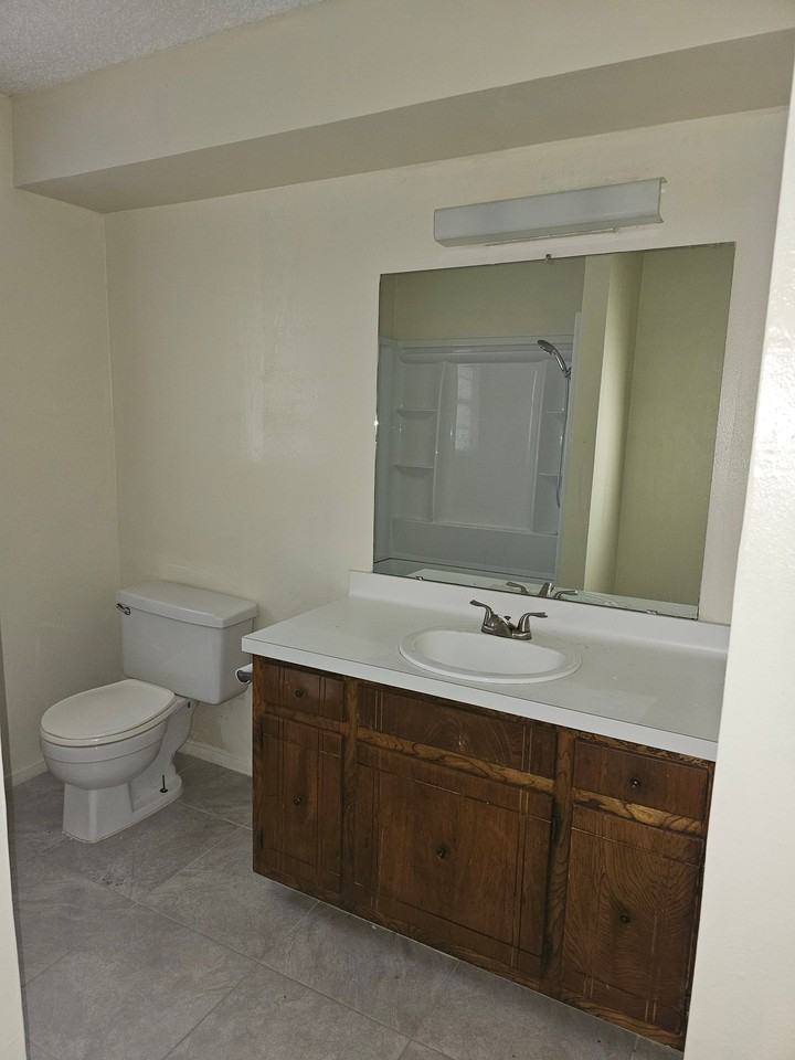 2008 Secretariat Trce #A - Photo 6 of 6