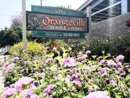 featured image of 1054 N Orange St