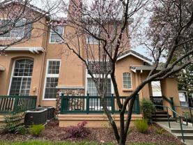960 Falcon Ct - Photo 1 of 1