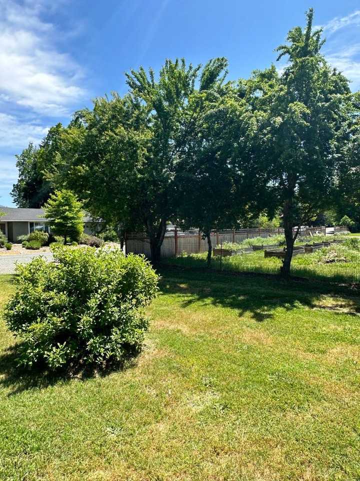 240 Glen Dr - Photo 2 of 17