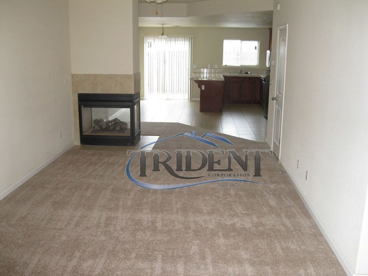 421 Hetherington Cir - Photo 6 of 15