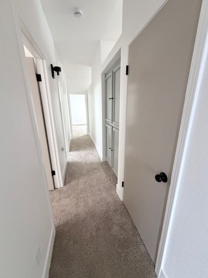 10616 Petalo Dr - Photo 5 of 13