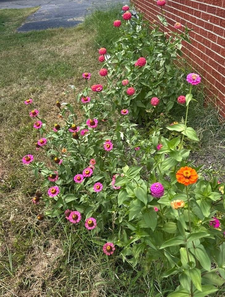 16 Wagon Trail Rd - Photo 4 of 15