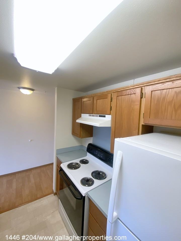 1446 - Photo 4 of 16