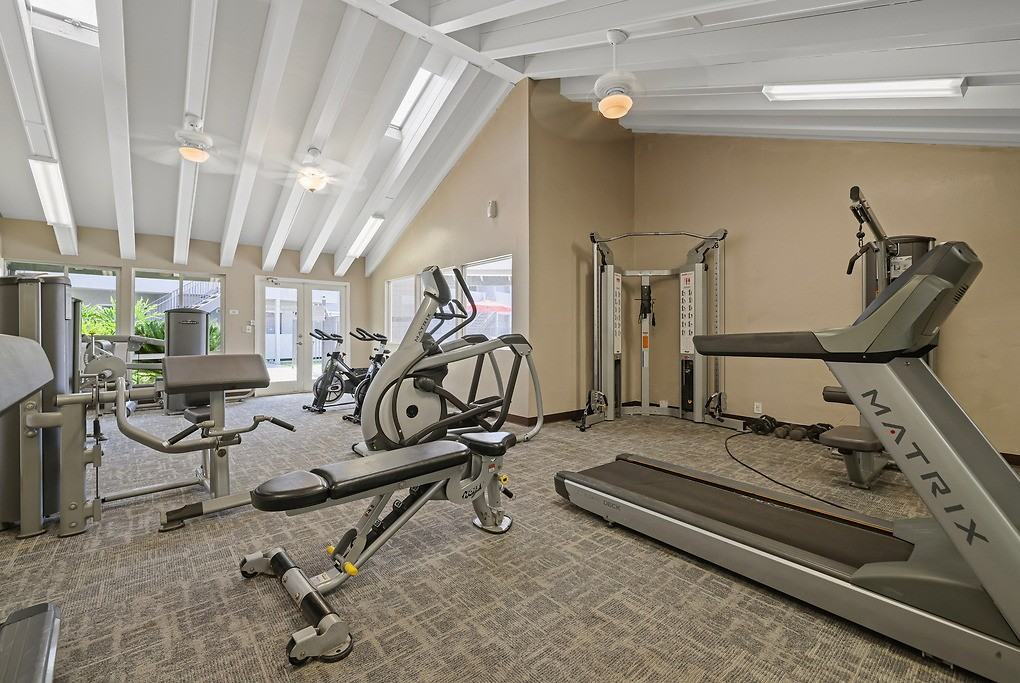 Shadow Point - Photo 4 of 42