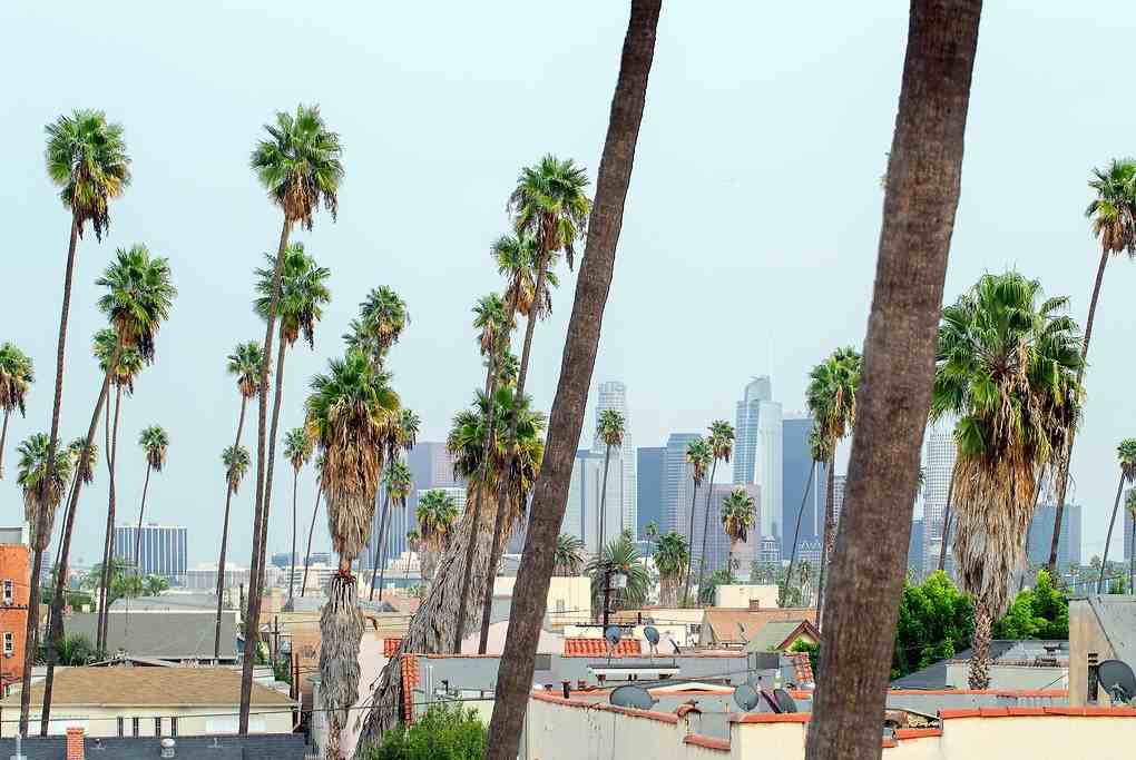 Windsor Court - Photo 5 of 21