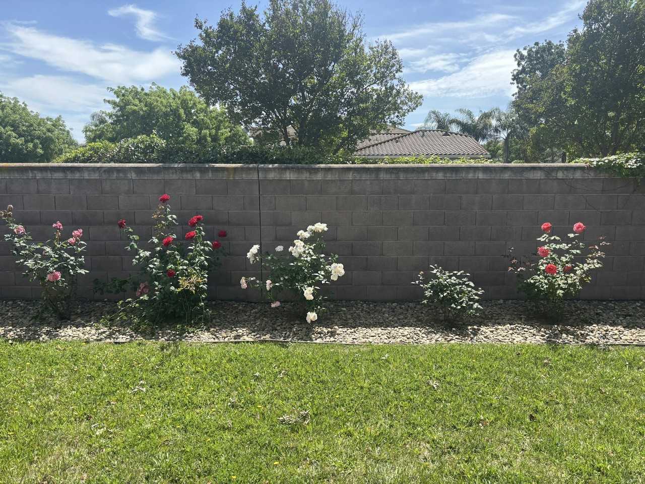 10294 Stoecker Way - Photo 4 of 35