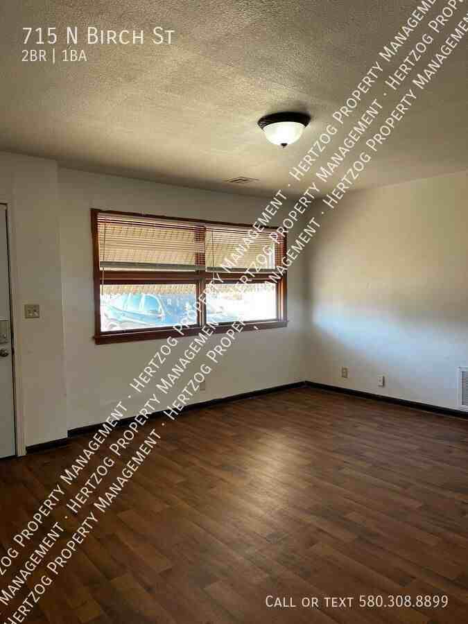 715 N Birch St - Photo 4 of 13