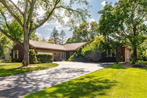 featured image of 31 Fox Trl