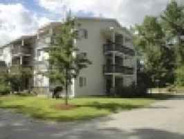 featured image of 99 Mammoth Rd #11