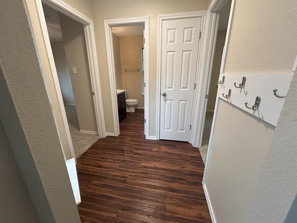 5002 Redwater Dr - Photo 3 of 19