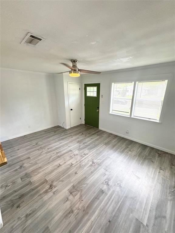 1704 Oriole St - Photo 2 of 8