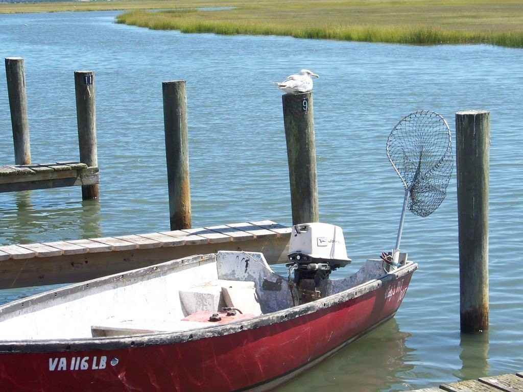 Lot 177 LIMPET DR - Photo 2 of 10