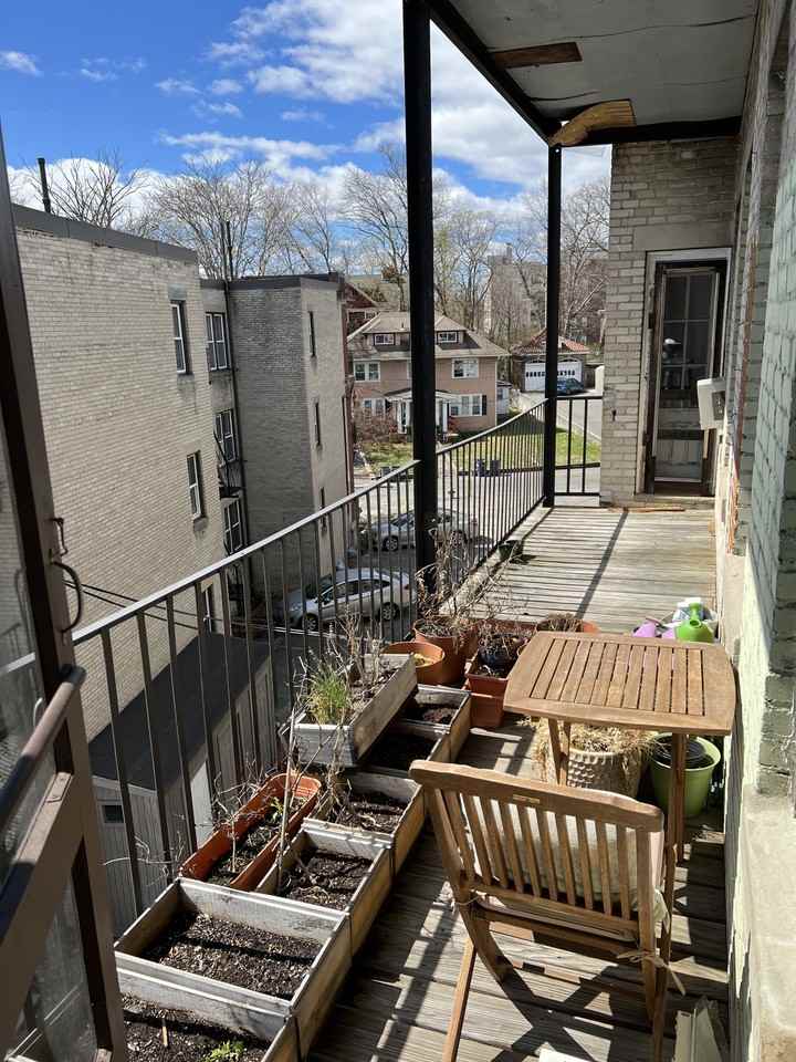 1750 Commonwealth Ave #11 - Photo 4 of 45