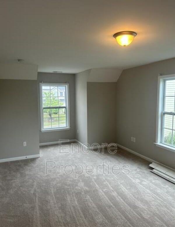 929 Ribbonleaf Ln - Photo 3 of 12