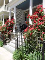 featured image of 36 Saint Margaret St #2