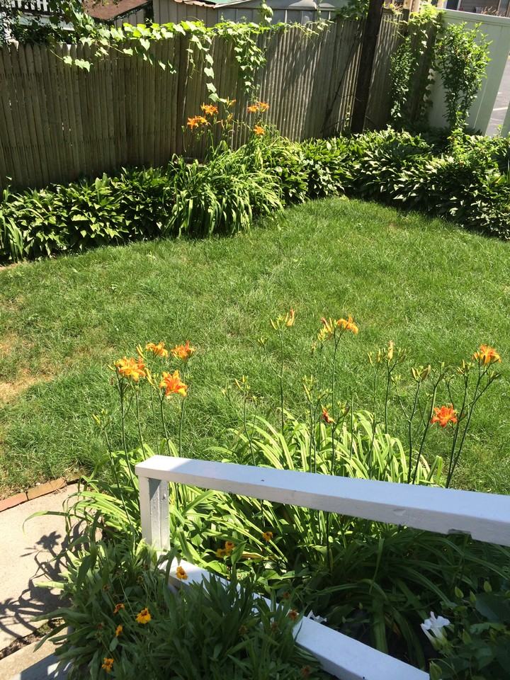 36 Saint Margaret St #2 - Photo 3 of 24