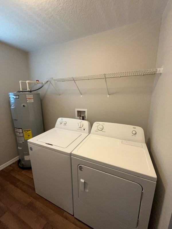 317 Fern Ct - Photo 6 of 14