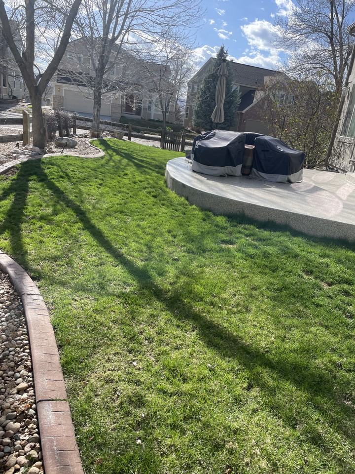 10081 Mockingbird Ln #NA - Photo 2 of 23