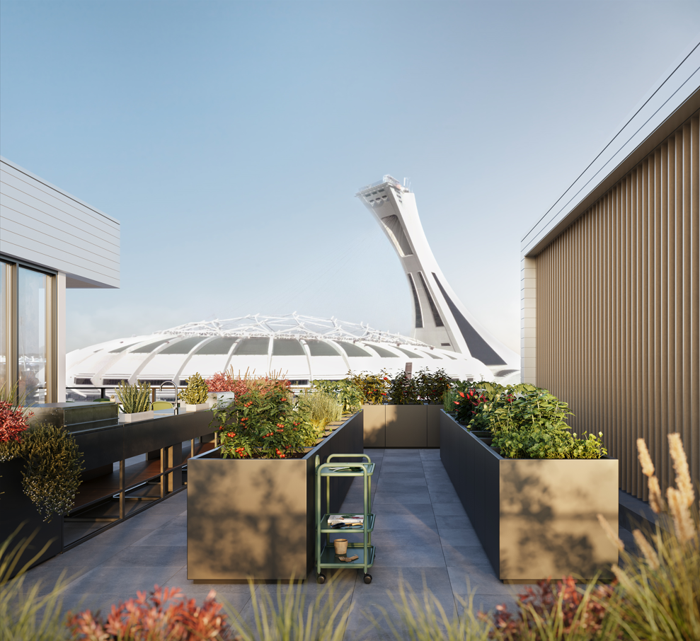 Canoë phase 1 - Photo 4 of 50