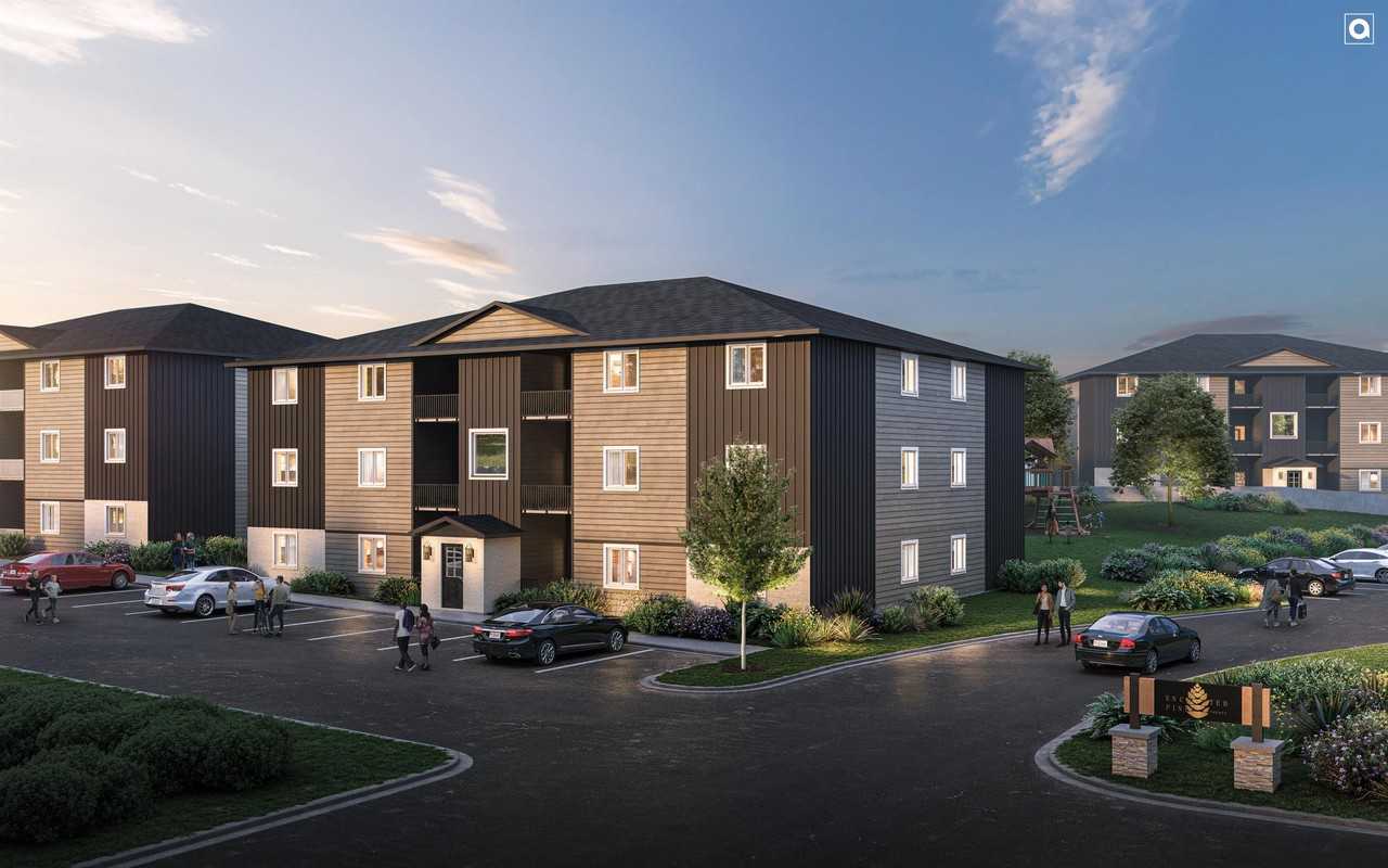 4801 5th Street - Photo 6 of 50