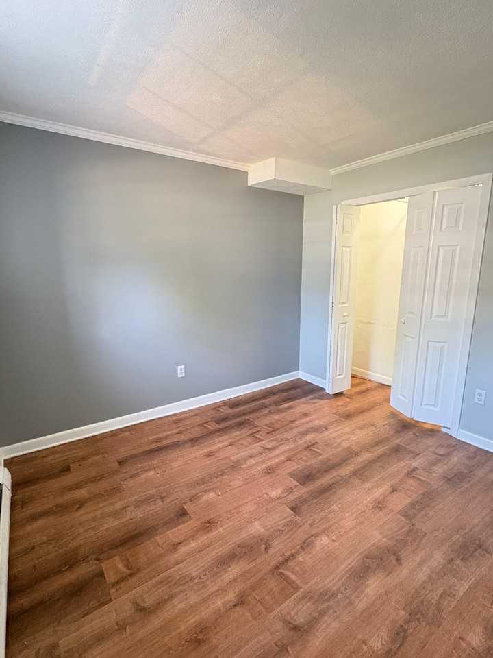 272 Albion Street - Photo 6 of 10