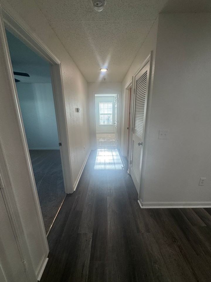 Spring Lake - Photo 4 of 41